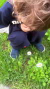 _laleonetti_ Altpins Profile Picture