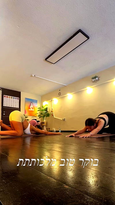 liad.arazi liad.arazi archive video