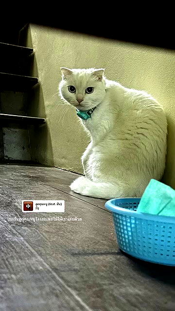 oqr0_ oqr0_ archive video