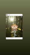 minicuta Altpins Profile Picture