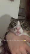 karerxxd Altpins Profile Picture