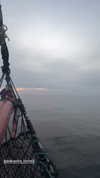 anika.wicks Altpins Profile Picture