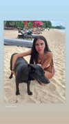 babyjoelle_ Altpins Profile Picture