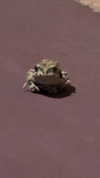 assoolin Altpins Profile Picture