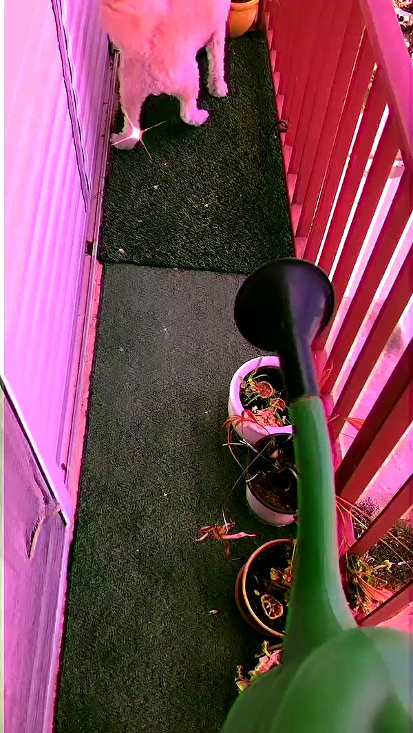 feelbetterinmysweater archive video preview