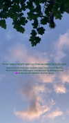 sonia_kalabin Altpins Profile Picture