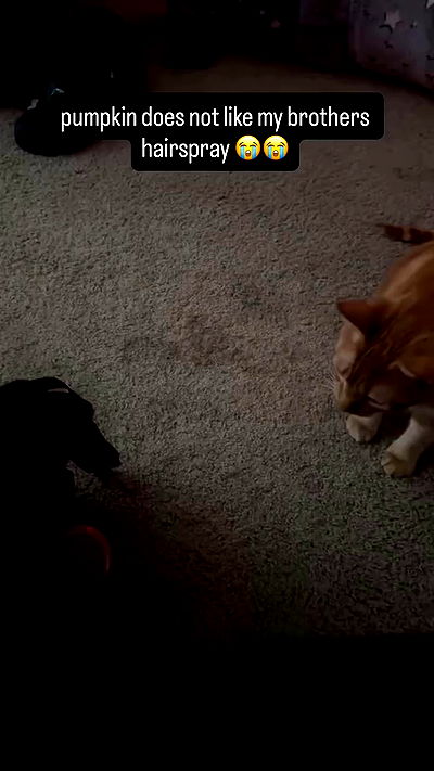 sweetmuffinnss sweetmuffinnss archive video