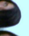 kyliejenner Altpins Profile Picture