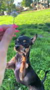 jenny.kaly Altpins Profile Picture