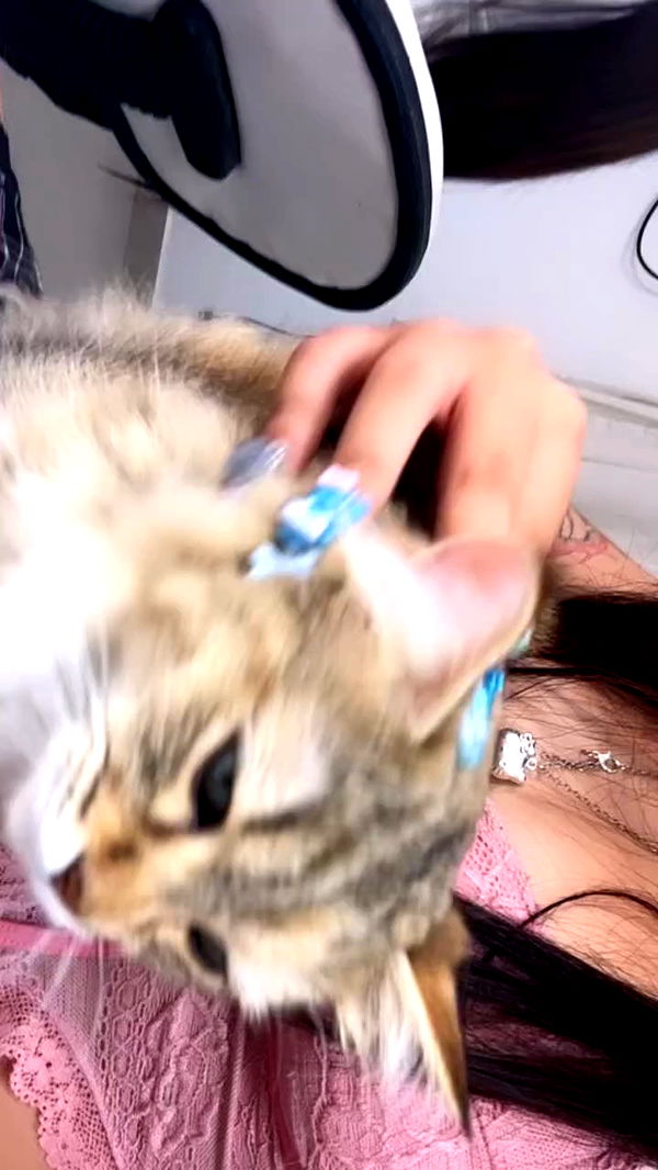 hellokittyangel666 archive video preview