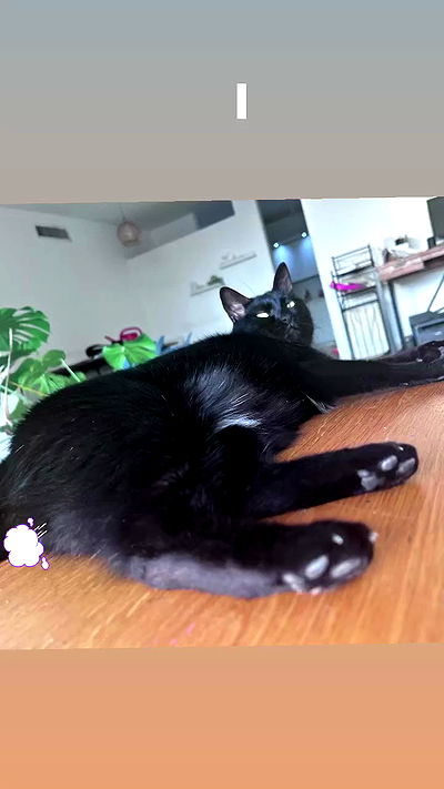 hellokittyangel666 hellokittyangel666 archive video