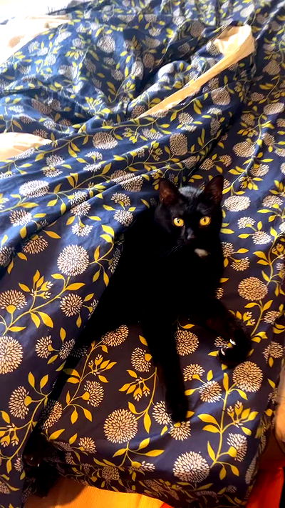 hellokittyangel666 hellokittyangel666 archive video