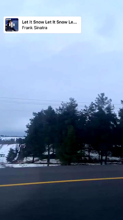 feelbetterinmysweater feelbetterinmysweater archive video