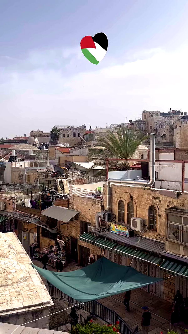 _femalien archive video preview