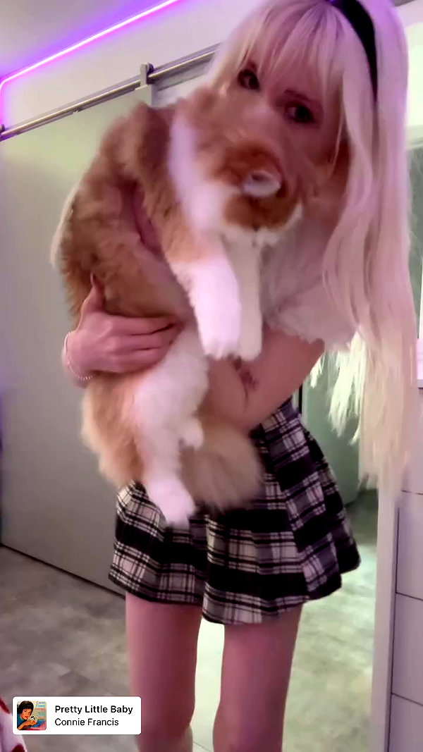 pockycatt archive video preview