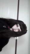 _monixque_ Altpins Profile Picture