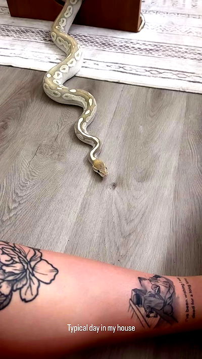 sedonaskyxo sedonaskyxo archive video