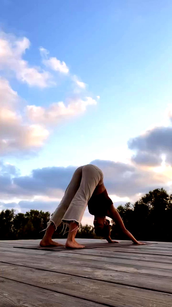 liad.arazi archive video preview