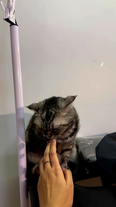 oqr0_ oqr0_ archive video