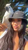 ciaoxxw Altpins Profile Picture