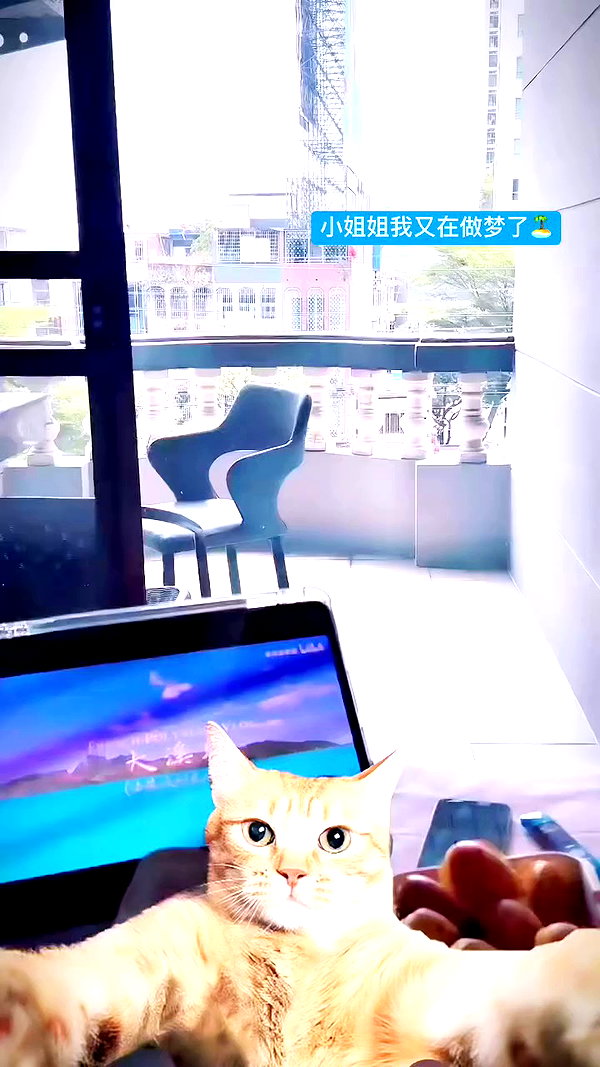 maomao.418 archive video preview