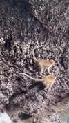 shelly_roberin Altpins Profile Picture