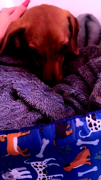 kaarolzx kaarolzx archive video