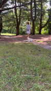 pixieonyxx Altpins Profile Picture