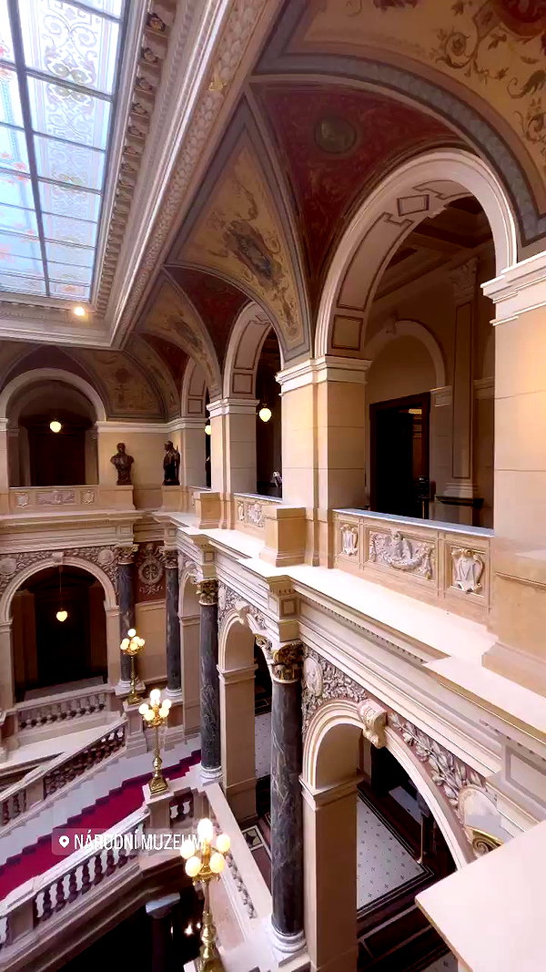 noammalka___ archive video preview