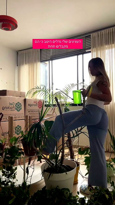 iambohema.v2 iambohema.v2 archive video