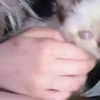 ti_joyy Altpins Profile Picture
