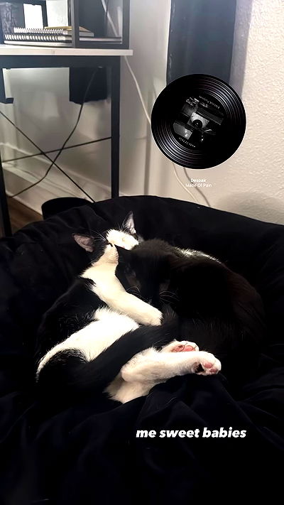 6nattynat9 6nattynat9 archive video