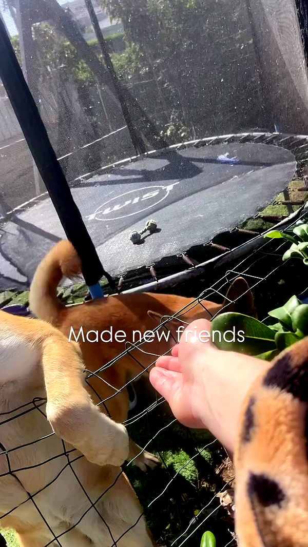 feelbetterinmysweater archive video preview