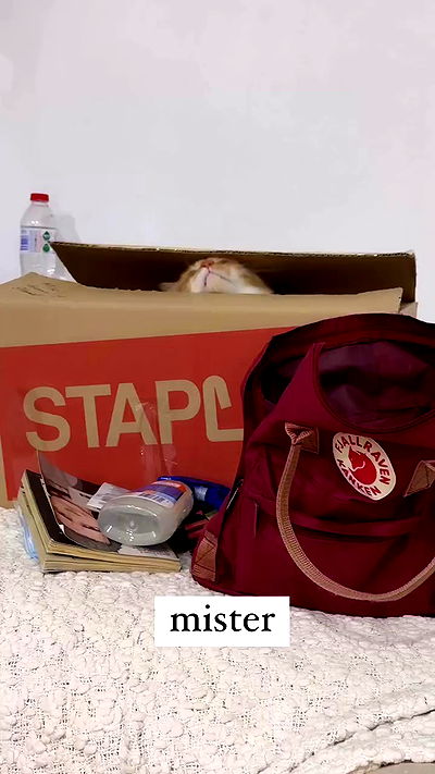 iheartpidge iheartpidge archive video