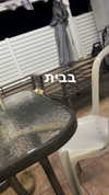 mai_glazer Altpins Profile Picture