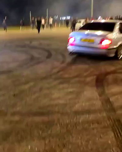 simp_for_cats_ simp_for_cats_ archive video