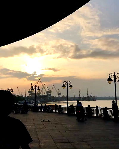 myn.hg myn.hg archive video