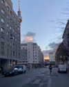 florenceros.e Altpins Profile Picture