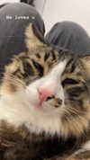 karerxxd Altpins Profile Picture