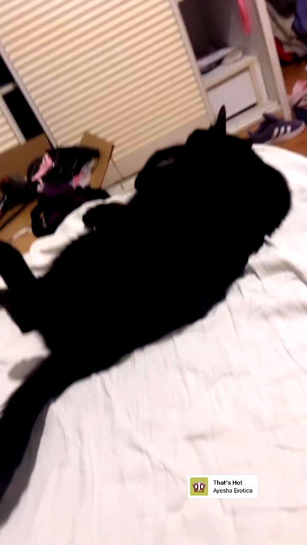 hellokittyangel666 archive video preview