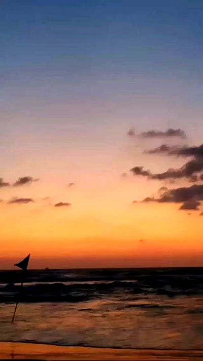 noa_zemlyanski noa_zemlyanski archive video