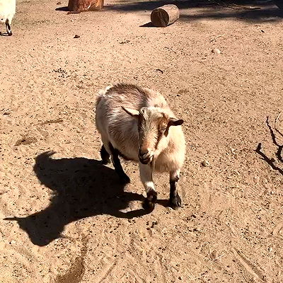 sophiemudd sophiemudd archive video