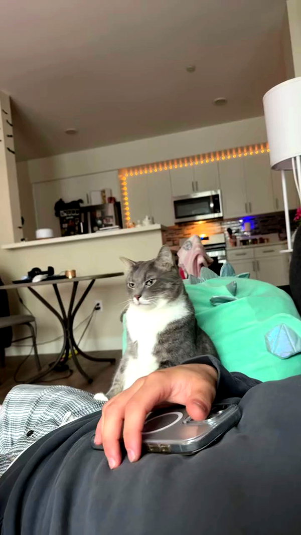 charleygrayyy archive video preview