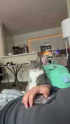 charleygrayyy Altpins Profile Picture
