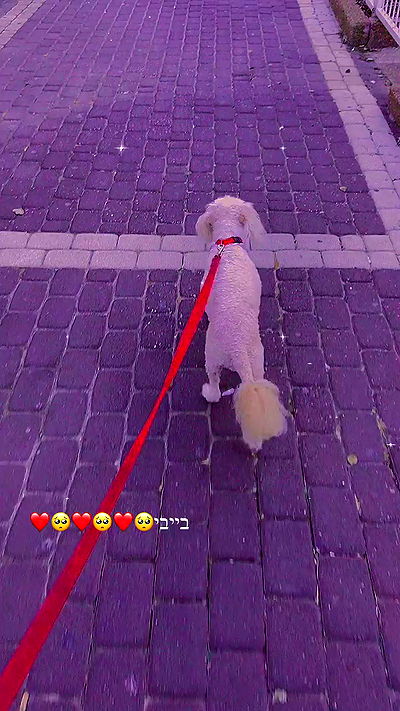 feelbetterinmysweater feelbetterinmysweater archive video