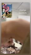 shaniii.1 Altpins Profile Picture