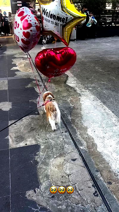 nicole.shpo nicole.shpo archive video