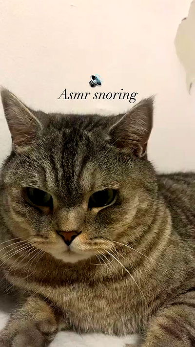 neomiconrad neomiconrad archive video