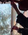 dovecameron Altpins Profile Picture