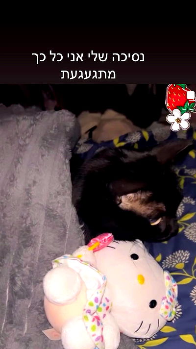 hellokittyangel666 hellokittyangel666 archive video